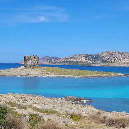 Tatil Evi Il Gabbiano Stintino